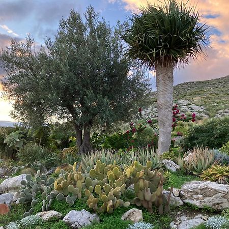 Casa Balata Farm House レアルモンテ エクステリア 写真