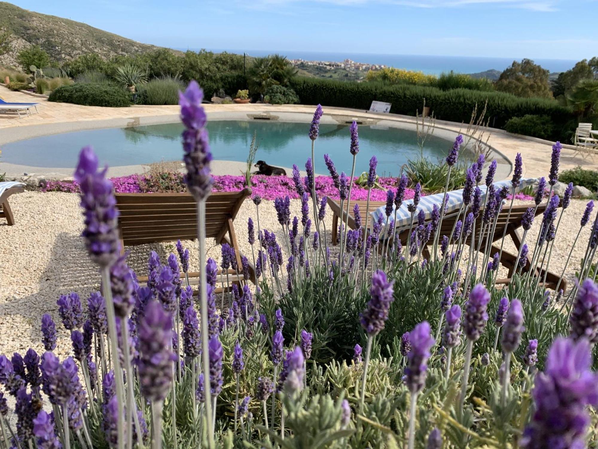 Casa Balata Farm House レアルモンテ エクステリア 写真