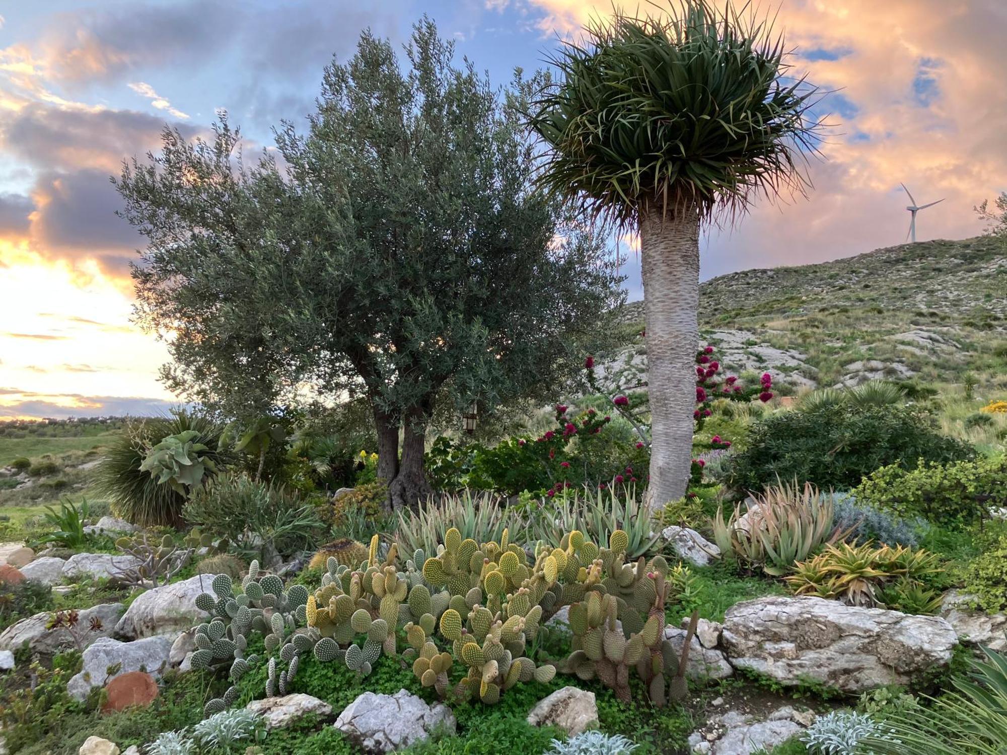 Casa Balata Farm House レアルモンテ エクステリア 写真